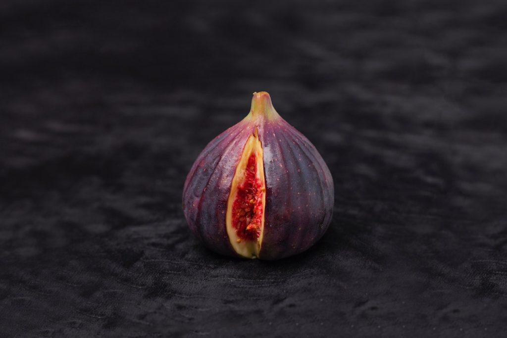 onion conceptualizing a vagina